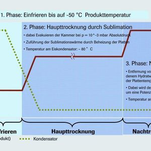 Bei der Gefriertrocknung kommt es auf eine genaue Temperaturregelung an. 