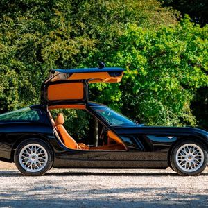 Zu den Besonderheiten des Bristol Fighter gehören seine Flügeltüren.(Bild:  Bristol Cars)