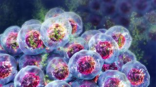 Zur Bestimmung der Zellviabilität in 3D-Kulturen hat Promega seine Celltiter-Glo-Familie erweitert. (Bild: Promega)