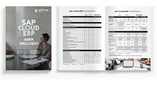 erp-checkliste (All for One Group SE)