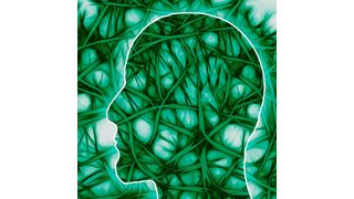 Forscher der Uni Bonn: Überangebot des Fettmoleküls S1P stört Übertragung von Informationen im Gehirn (gemeinfrei)