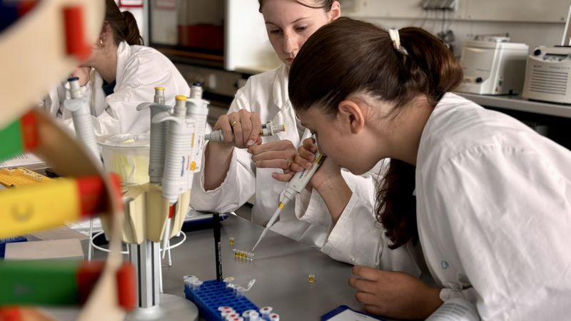 Beim Experiment ist Präzision gefragt: Die Schülerinnen pipettieren ihre Proben.(Bild:  © Gläsernes Labor)