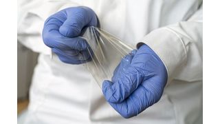 Chitosan-Folien eignen sich aufgrund ihrer ausgewogenen Elastizität und Transparenz gut für Verpackungsanwendungen. (Bild: Fraunhofer IGB)
