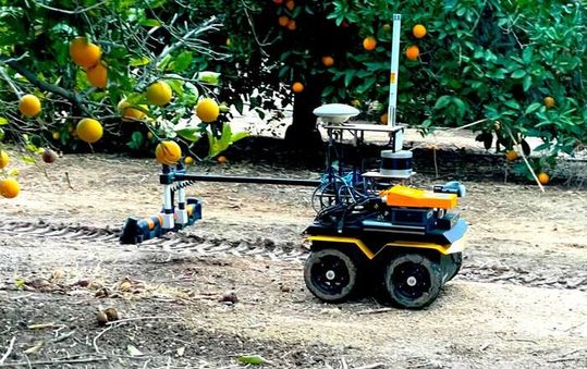 A robot designed to assist with precision irrigation in action, in a citrus orchard. (Source:  Elia Scudiero/ UCR)