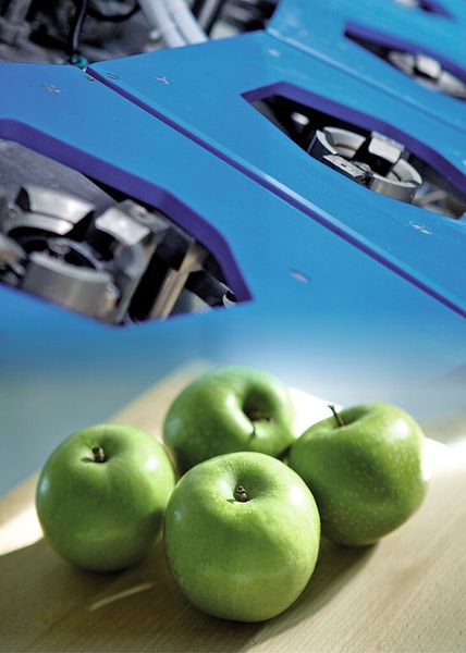 Bild 3: Die Kunststoffabdeckungen an den Schälmessern der Apfelschälmaschine übernehmen nicht nur Einhausungs- sondern auch Transportfunktionen. (Bild: Murtfeldt)