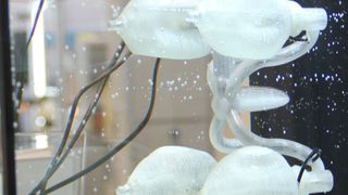 Vier elastische Kunststoffbälle pumpen Wasser und sorgen so für den erforderlichen Vortrieb. Das Antriebssystem wurde mit dem generativen Fertigungsverfahren Fused Deposition Modeling hergestellt. (Bild: Fraunhofer IPA)