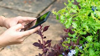 Die Anwendungsoptionen für Smart Garden sind unübersehbar. (Suraphong Namsermsri_adobe.stock_173369585.jpg)