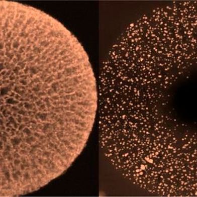 Gang Wu and collaborators developed hollow nanocarbon spheres containing an ordered radial nanochannel array to be used as supports in their new design for high-performance intermetallic nanoparticle fuel cell catalysts.  (Source: Wu lab/ Washington University in St. Louis)