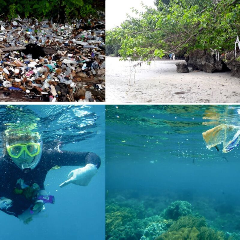 Abb. 1: Plastikverschmutzung im Meer vor Nord-Sulawesi (Indonesien). (A) Müll wird am Strand von Bunaken Island (links) angespült und bleibt bei Hochwasser in den Mangroven hängen (rechts). (B) In kürzester Zeit lassen sich schnorchelnd Unmengen an Plastik einsammeln (links, Foto: Stefanie Ries), die vor der Küste im Ozean schwimmen (rechts). (Ausschnitt)