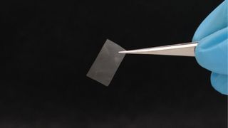 Die lebende Folie ist nahezu transparent und besitzt eine gute Reissfestigkeit. Sie könnte etwa als Bio-Kunststoff zum Einsatz kommen.  (Bild: Empa)