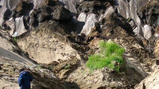 Permafrostaufschluss im Sibirischen Lena-Delta. Ein Teil der Proben stammt von dort. (UHH/CEN/I.Preuss)