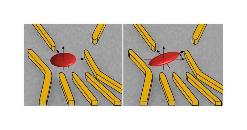 An electron is trapped in a quantum dot, which is formed in a two-dimensional gas in a semiconductor wafer. However, the electron moves within the space and, with different probabilities corresponding to a wave function, remains in certain locations within its confinement (red ellipses). Using the gold gates applied electric fields, the geometry of this wave function can be changed. (University of Basel, Departement of Physics)