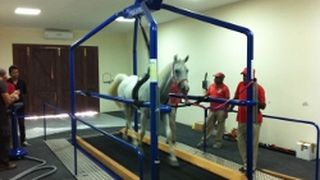 IMG_2992_(250x187) ()