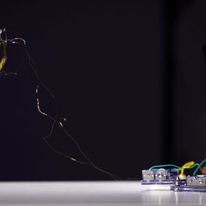 Da der Roboter beim Sprung unweigerlich ins Taumeln gerät, entwickelten die Ingenieure nach dem Vorbild der Dosenschildkröte einen speziellen Überrollkäfig. Landet das System auf der Seite, fährt der Motor an der Turmstruktur nach unten. Durch diese gezielte Schwerpunktverlagerung rollt sich der Roboter in 90 Prozent der Fälle selbstständig wieder auf die Füße.(Bild:  Mark Stone/University of Washington)