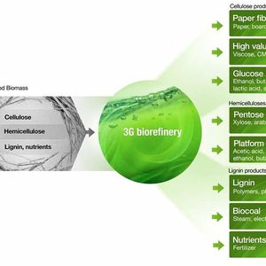 A biorefinery based on 3G biorefining technology processes non-food biomasses, such as sugarcane bagasse and straws and even wood, into pure cellulosic sugars, advanced biofuels, multiple value-added biochemicals and biocoal while producing surplus bioenergy into the grid