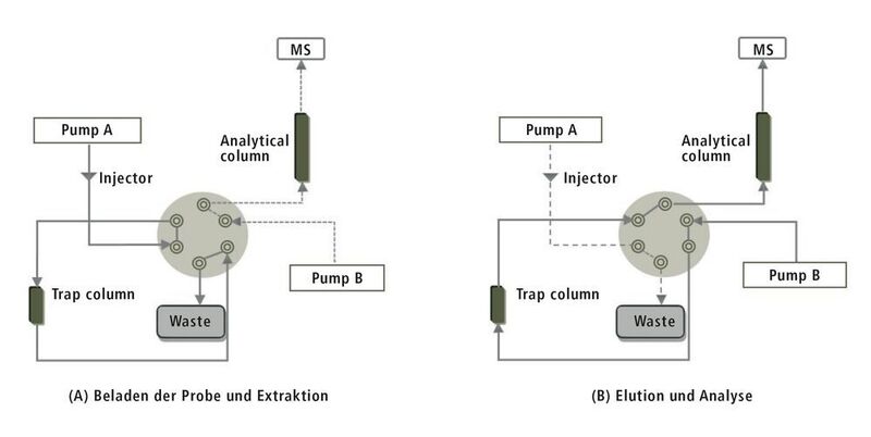 Abb. 3: Schematische Darstellung der chromatographischen Analyse im LC-MS/MS-System CLAM-2000 (links: Beladen der Probe und Extraktion, rechts: Elution und Analyse). (Shimadzu Deutschland)