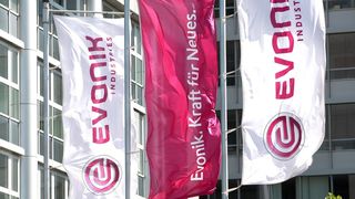 Evonik invests in methionine production for dairy cows (Picture: Evonik)