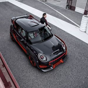 (Mini)