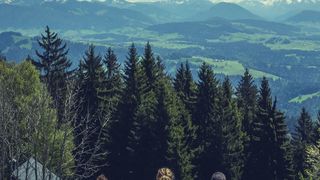 Die Deutschen wollen nicht „besser“ sondern „glücklicher“ werden. Der neue Werte-Index zeigt, dass Natur und Familie wichtiger als Erfolg sind. (gemeinfrei)