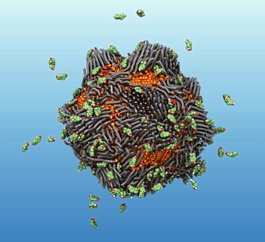 Die Grafik zeigt ein Nanopartikel aus dem „intelligenten Rost“, das Östrogenmoleküle anzieht und sie einfängt. Die Grafik zeigt ein Nanopartikel aus dem „intelligenten Rost“, das Östrogenmoleküle anzieht und sie einfängt.