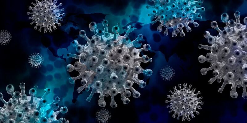 Lübecker Forscher haben eine weitere Studie zur Dauer der Immunität nach einer Covid-19-Infektion abgeschlossen. (Symbolbild)