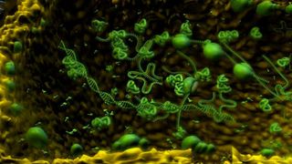 Wie und wo lebten die ersten Zellen auf unserem Planeten? (Ausschnitt) (William Martin/HHU)