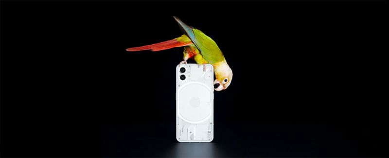 Das Nothing Phone 1 setzt auf neue Technologien, Nachhaltigkeit und eine etwas andere Optik. Das Nothing Phone 1 setzt auf neue Technologien, Nachhaltigkeit und eine etwas andere Optik.