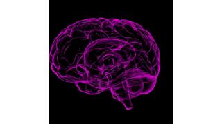 The digital twin allows for tumor control that is equivalent to the current standard of care but with the use of lower total radiation doses.  (Source: Pixabay)