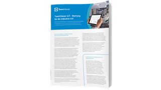 Whitepaper Cover: TeamViewer (TeamViewer)