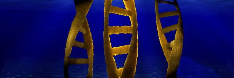 DNA ist der Speicher genetischer Information. Doch extrazelluläre DNA dient auch Mikroben im Meeresboden als Nahrungsgrundlage (Symbolbild).