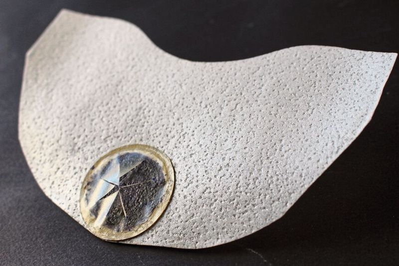 Die Sensor-Samen der Empa – unten ist der mit einem Schutzfilm versehene pH-Sensor zu sehen. (Bild: Empa)