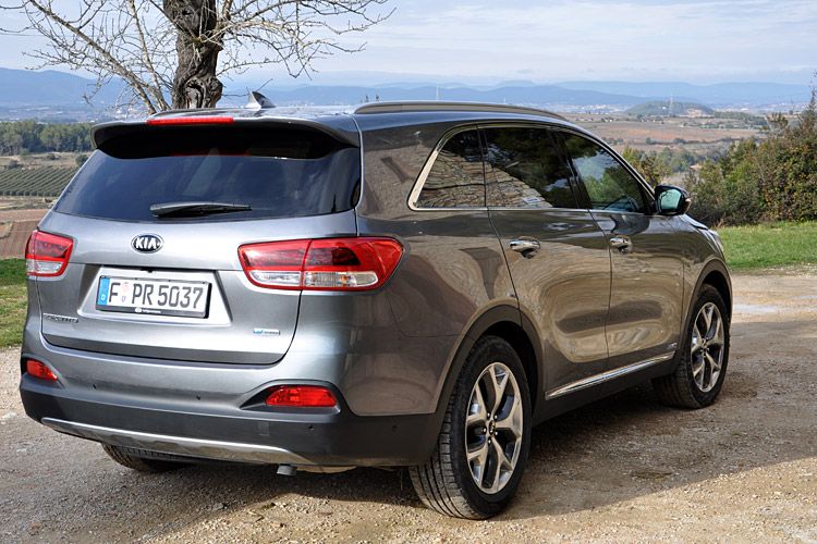 Das SUV soll helfen, das Markenprofil der Koreaner zu schärfen. (Foto: Wehner)