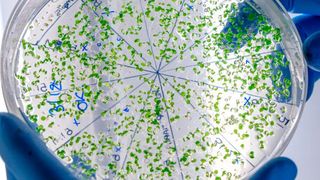 Das Projekt Priorisation and Risk Evaluation of Medicines in the Environment (Premier) soll ein neuartiges Informations- und Bewertungssystem zur Identifizierung und Bewertung der Umweltrisiken von Arzneimitteln entwickeln, insbesondere für solche mit mangelnder Datenverfügbarkeit. (Innovative Medicines Initiative)