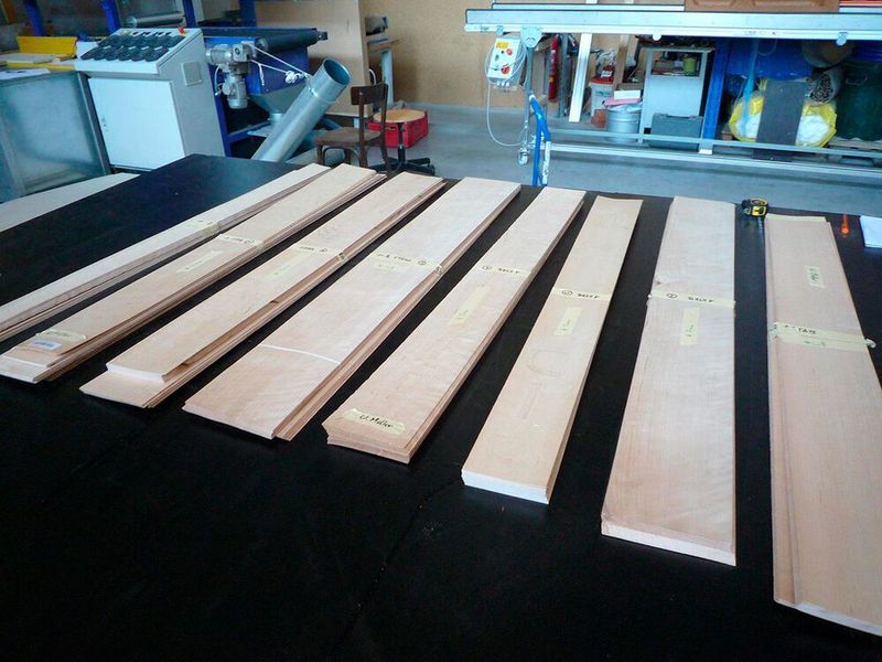 Für den Fahrzeugbau braucht man vor allem Laubholz, das nicht nur im Sinne der ökologischen Nachhaltigkeit, sondern auch aus wirtschaftlichen Gründen keine Transportwege aus Übersee zurücklegen soll. (FH Johanneum)