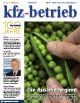 kfz-betrieb 01/2011 (Archiv: Vogel Business Media)