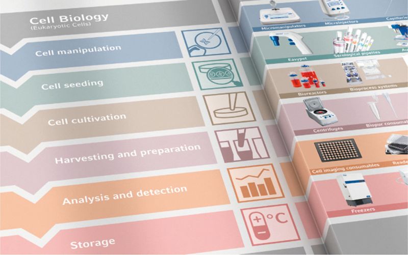 Abb.2: Biokraftstoffforschung von der Rohstoffanalyse bis zum Scale-up: Eppendorf bietet Premium-Laborprodukte und Bioprozesssysteme für jeden Arbeitsschritt. (Bild: Eppendorf)