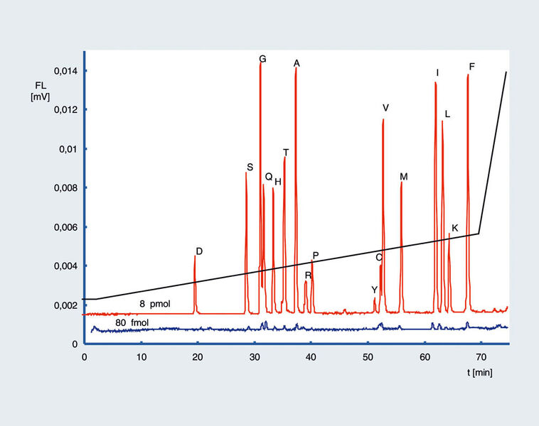 Abb.8: Nachweisgrenze bei Fluoreszenz-
Detektion mit 2 mm ID Säule.
Stationäre Phase: GROM Saphir 110
C18; Säule: 3 µm, 150 x 2 mm; Eluent
A: 50 mM Na-Acetat Puffer pH 5,75;
Eluent B: 70% ACN, 30% Na-Acetat pH
6; Gradient: 2% B (0–2,5 min), 2 –30%
B (2–70 min), 30–100% B (70–75 min),
100% B (75–80 min); 2% B (80–82
min), 2% B (82–95 min); Fluss (lin.
vel.): 1,06 mm/sek; Druck: 20 MPa;
Temperatur: 45°C; Detektion(FL): 250
nm exc, 395 nm em; Flusszelle: 3 µL/2
mm, Injektion: 1 µL; Probe: Aminosäurenstandard
1,1 ng/µL (1 µL~8 pmol)
bzw. 11 pg/µL(1 µL~80 fmol) (Archiv: Vogel Business Media)