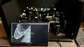 Lichtblattmikroskop mit neu entwickelter Plattform beim Scan einer Hörschnecke (Bild: Mostafa Aakhte)