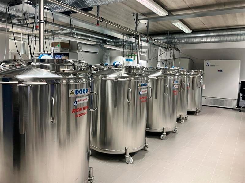 Die Tour durch die Einrichtung führt in den Keller.  (Bild: © Serina Sonsalla)