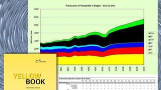 PCIs neues Yellowbook bescheinigt dem weltweiten Polyami-Markt gute Aussichten. Sorgen bereitet den Anlysten nur die große Abhängigkeit von China. Derzeit werden jährlich 6.8 Millionen Tonnen PA6 und PA6.6, umgesetzt.  (Bild: PCI Nylon)