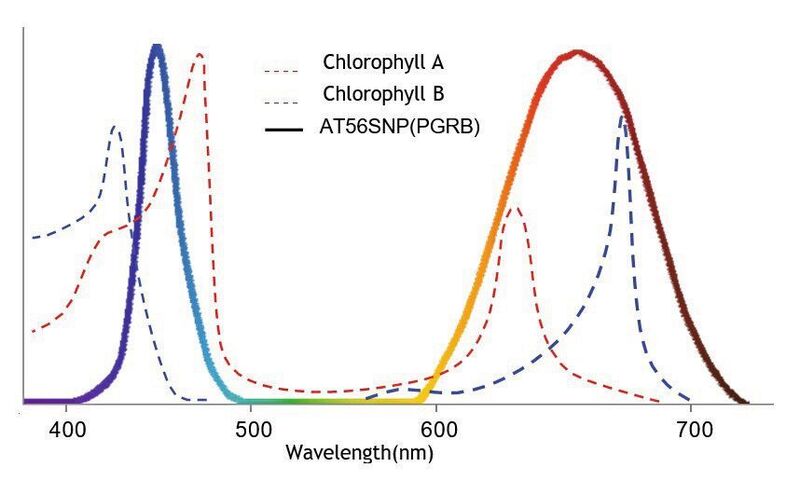 Ein maximaler Ertrag bei den Pflanzen ergibt sich bei einer Wellenlänge von 455 nm (blau) und 660 nm (rot). 
 (euroLighting)