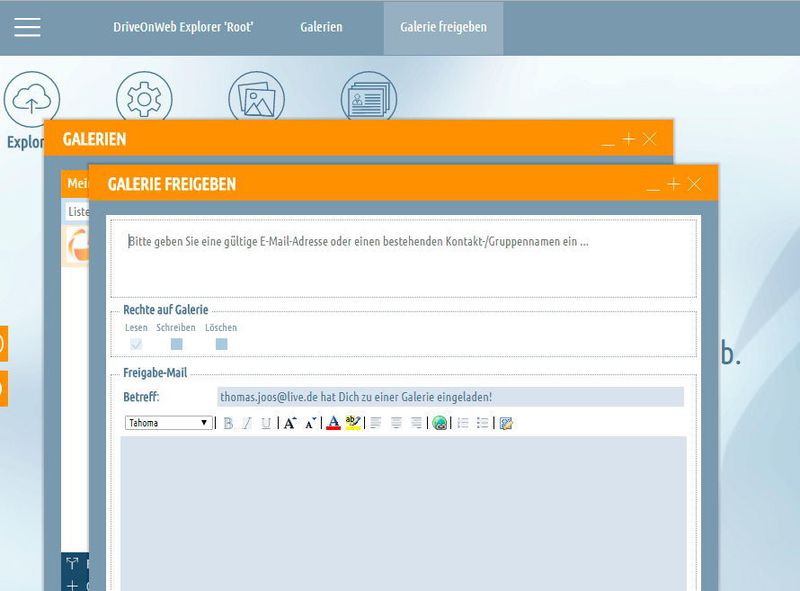 Im Assistenten zum Freigeben von Galerien und Dateien können die Rechte im Fenster gesteuert werden. (Thomas Joos / DriveOnWeb)