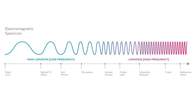 Die Verluste und Eindringtiefe sind abhängig von der Frequenz.(Bild: ©  studioworkstock - stock.adobe.com)