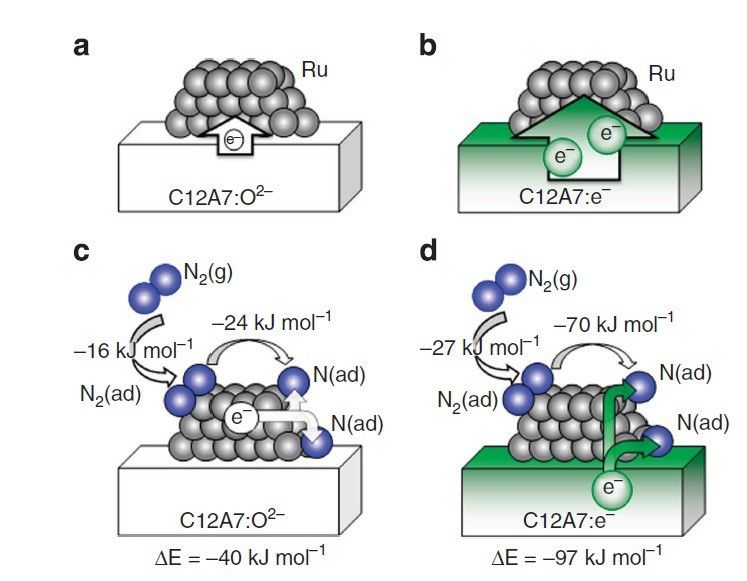 Ab initio simulations of N2 interaction with the Ru/C12A7 catalysts. Character of the charge redistribution between C12A7 substrate and deposited Ru clusters is shown for the stoichiometric (a) and the electride (b) C12A7. (c,d) Adsorption energies of N2 on C12A7-supported Ru, charge transfer in the process of N2 dissociation (N2(g)+ Ru ? 2N(ad) +Ru) and the corresponding energy gain (?E). In Ru/C12A7:O2– system (c), N2 and N accept electron charge from the Ru cluster, making it positively charged. In Ru/C12A7:e– (d), the electron charge is transferred from the substrate, leaving the Ru cluster nearly neutral. N2(g), N2(ad) and N(ad) represent N2 in gas phase, adsorbed N2, and adsorbed nitrogen atom, respectively. (Source: Tokyo Institute of Technology)