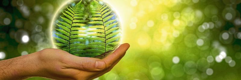 Nachhaltigkeit: Unternehmen, die ihre digitale Nachhaltigkeit vorantreiben, haben mehr Sichtbarkeit und sind effizienter. Nachhaltigkeit: Unternehmen, die ihre digitale Nachhaltigkeit vorantreiben, haben mehr Sichtbarkeit und sind effizienter.