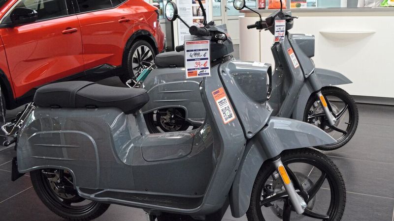 König liefert die aus polnischer Produktion stammenden E-Schwalben in den Filialbetrieben der Gruppe, in einem ihrer Auslieferungszentren oder vor der Haustür des Kunden aus. (Bild:  Rehberg/VCG)