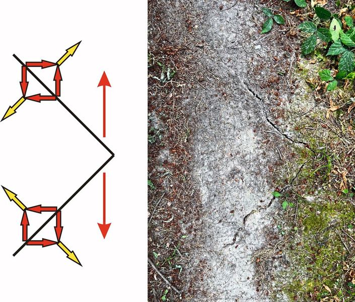 Abb. 3: Wir wissen es nicht genau, welche Lasteinleitung dieses Fragment eines Zickzack-Risses auf einem Trampelpfad im Wald entstehen ließ, die Notbremsung eines wackeren Bikers oder seine Beschleunigung? Oder einfach nur unterschiedlicher Bodenschwund bei Trocknung? Einerlei. Ein wechselnder Schub ist jedenfalls eine wahrscheinliche Rissursache! (Bild: Mattheck)