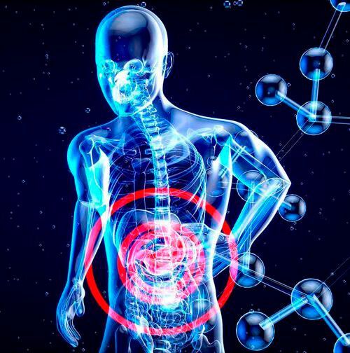 The analysis found that people who suppressed their emotions had a less diverse gut microbiome. The analysis found that people who suppressed their emotions had a less diverse gut microbiome.