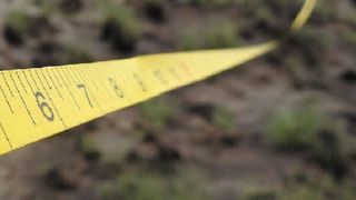 Das auf technologische Nachhaltigkeitsförderung spezialisierte SustainableIT.org hat Standards veröffentlicht. (Bild: gemeinfrei, jkdberna / Pixabay)