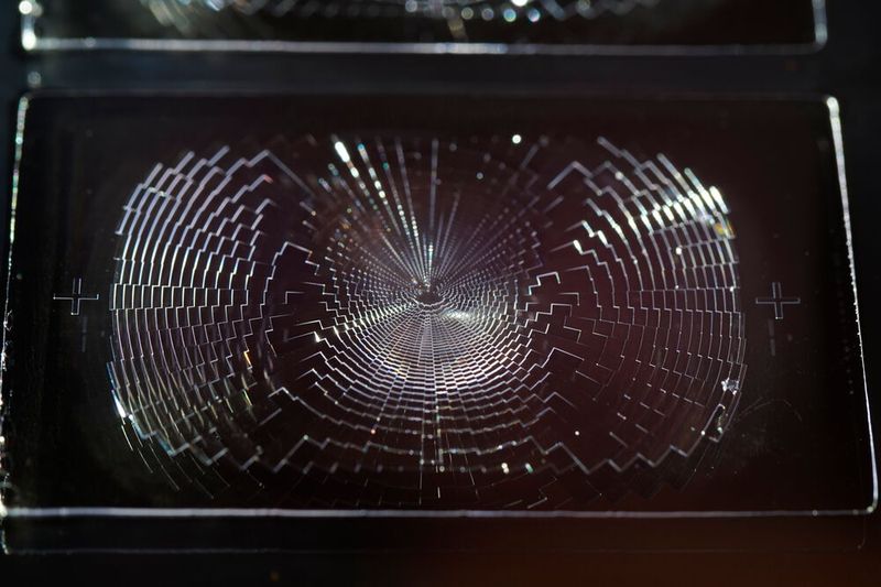 Blick auf ein Einzelelement einer FFMO, hergestellt bei Hella im R2P-(roll-to-plate)-Verfahren, aufgedruckt auf ein passendes Substrat. (Bild: Hella)